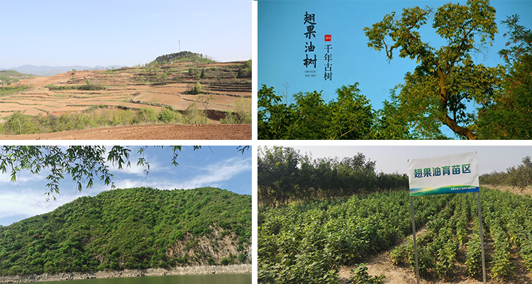 公司简介配图.jpg
